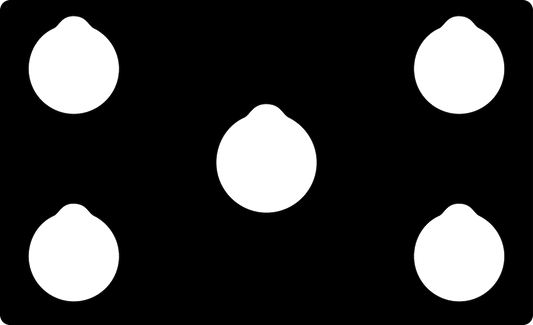 DCS by Fisher & Paykel StoveGuard Stove Protector #358